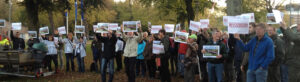 Petitie Landschap Noord Hollandb