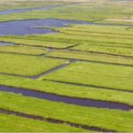 Twiskepolder