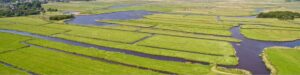 Twiskepolder